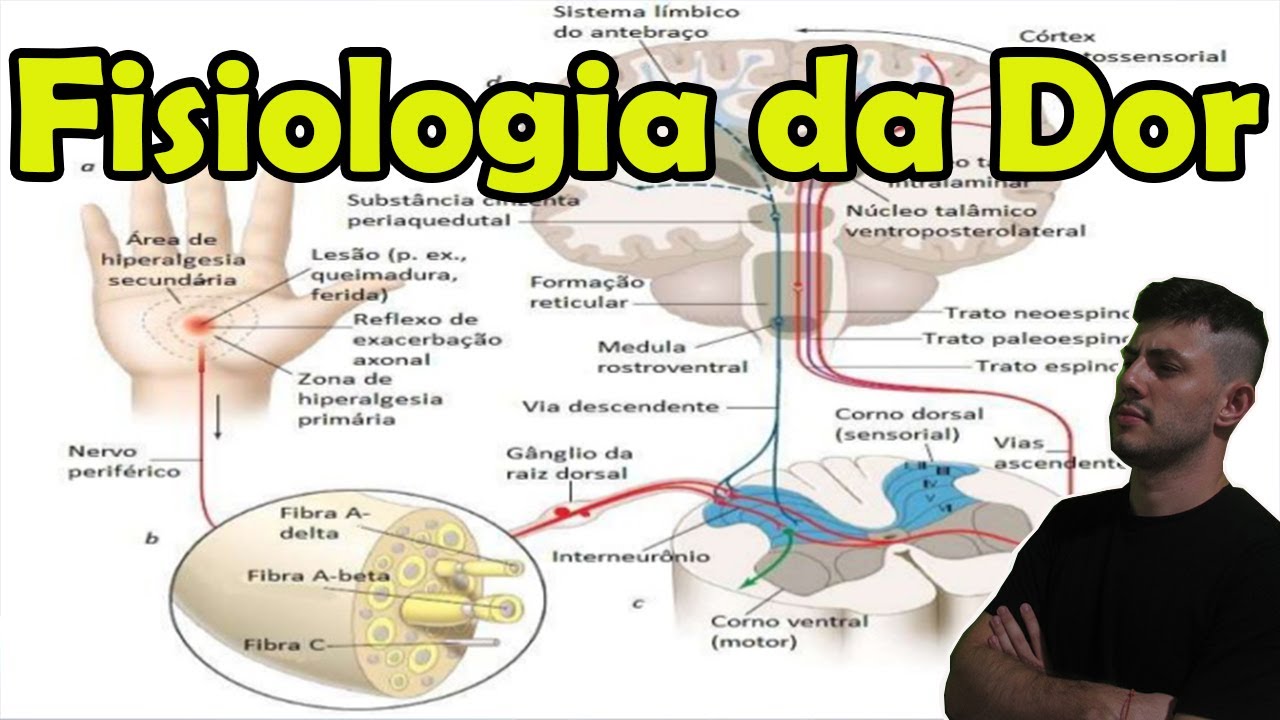 NEUROFISIOLOGIA DA DOR