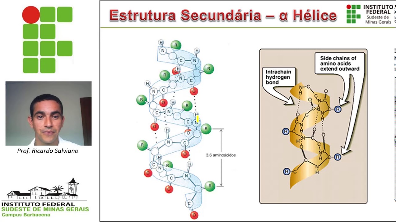 Proteínas parte III