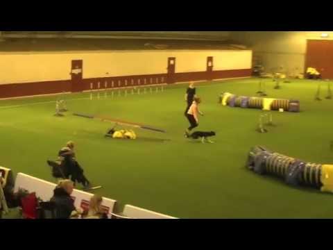 Bea AG3, analysert - Gåsahoppet