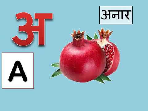 हिंदी स्वर | HINDI VOWELS | स्वर | VOWELS IN HINDI | HINDI FOR BEGINNERS | हिंदी सीखे | हिंदी ज्ञान