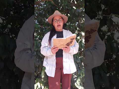 Lamento da Mulher Rural, por Regina Mendes Nogueira. Poço Fundo, Minas Gerais. Brasil