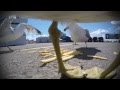 Gulls And French Fries A Musical Vignette