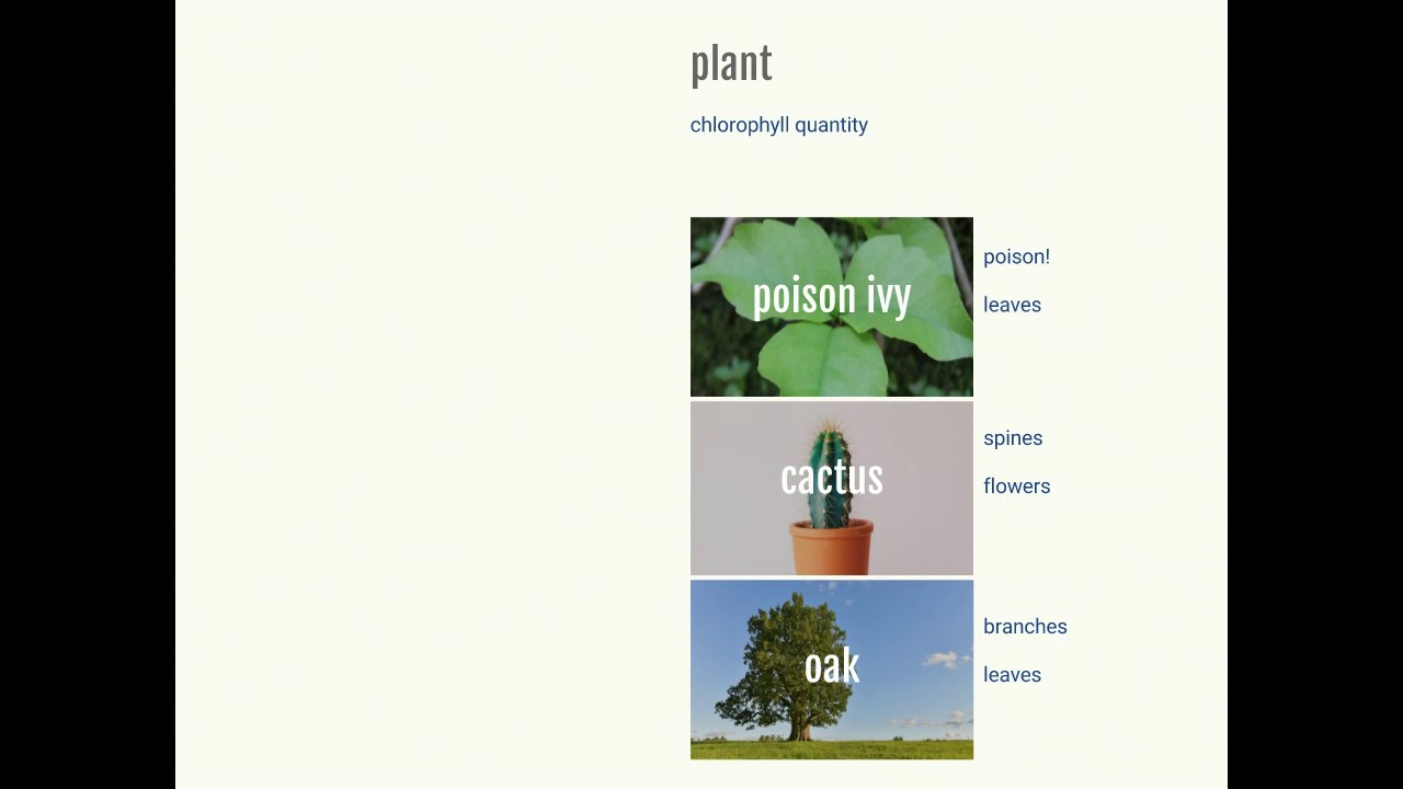 Entities in Drupal 8: A Visual Overview