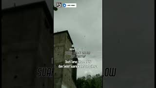 Download lagu Suara Walet Respon Terbaik mp3 Download lagu Suara Walet Respon Terbaik mp3