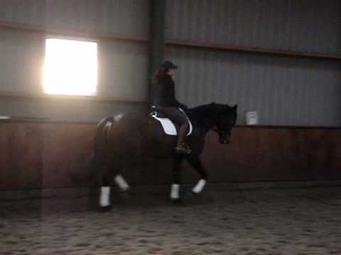 Video Jazz x Michelangelo