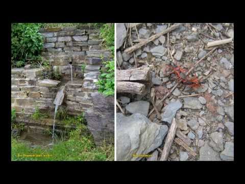 Durch die Steilhänge der Mosel