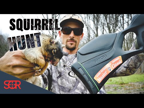 EPIC Break Barrel Squirrel Hunt with the GAMO Magnum GEN 2 at the GAMO Squirrel Master Classic 2020