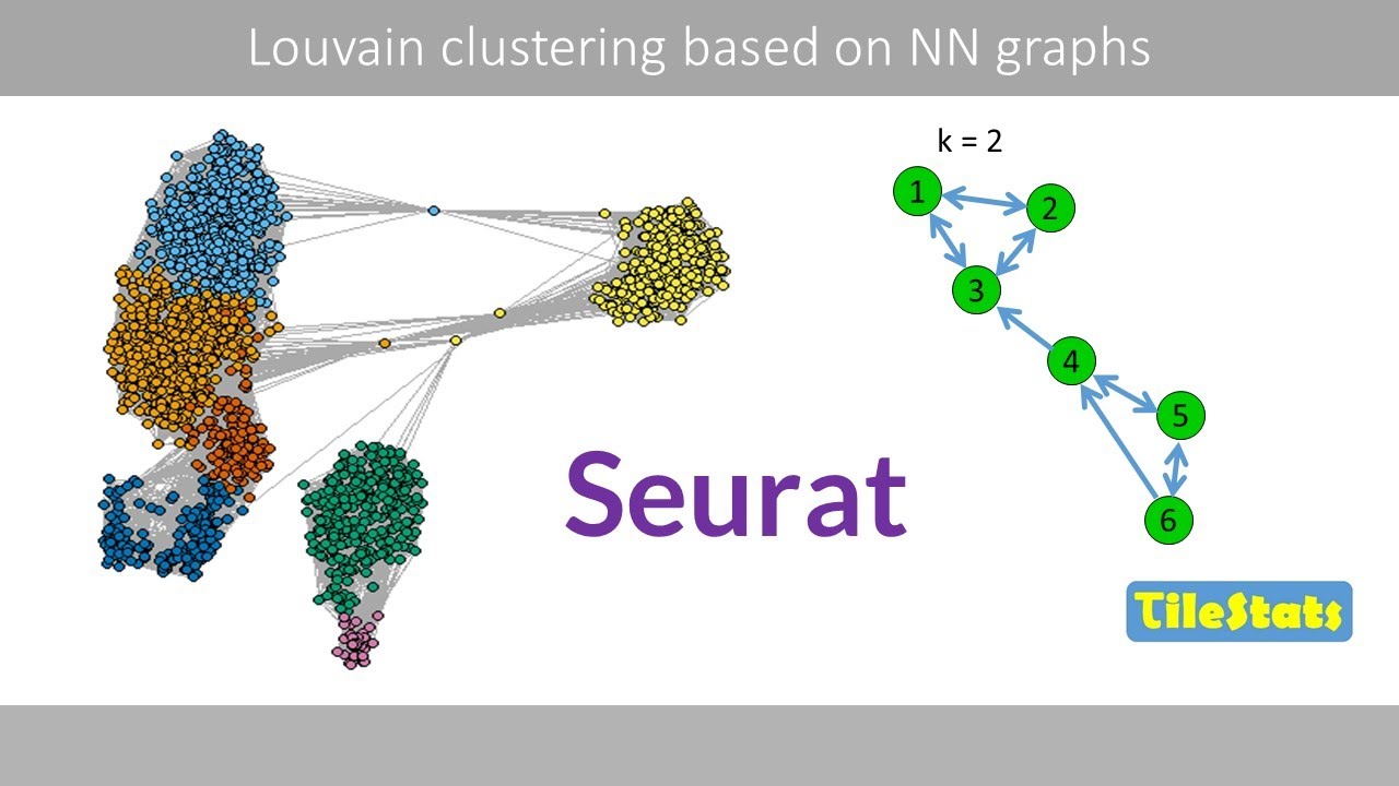 kNN and SNN graphs, and Louvain clustering | How Seurat cluster single cells