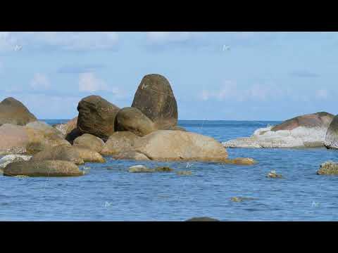 Dead coral stones on water surface background