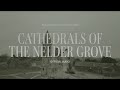 Cathedrals Of The Nelder Grove