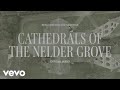 Cathedrals Of The Nelder Grove