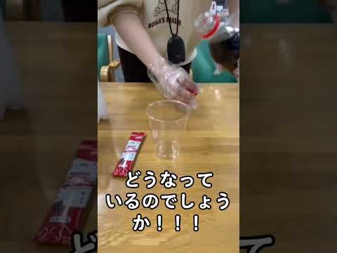 【愛知淑徳大学】「とろみ」についてご紹介！ vol.2 #愛知淑徳大学 #shorts #大学生 #言語聴覚学専攻  #言語聴覚士 #とろみ #つるりんこ
