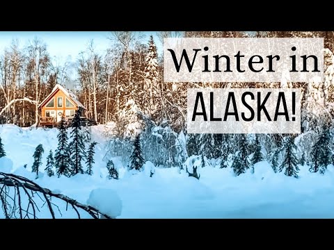 A Day in our Life ❄️ Winter in Alaska! + Riding the Dog Sleds!