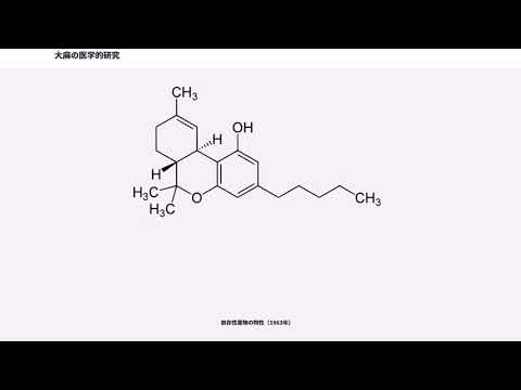 この研究は次のように述べています: 大麻は記憶力を改善します