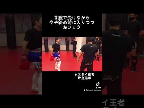 サウスポー対策！左ミドルに対するカウンター3選