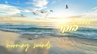 צלילים של בוקר | מרדכי הס ☀️🐦🎶 Morning Sounds || relaxing music for stress relief | Motty S