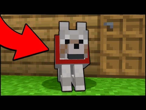 YouTube video about: How to catch a dog in survival mode?