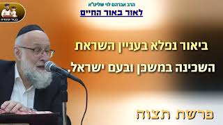 בעניין השראת השכינה במשכן ובעם ישראל – הרב אברהם לוי שליט"א📖"לאור באור החיים" פרשת תצוה (הרב שלמה לוינשטיין) - התמונה מוצגת ישירות מתוך אתר האינטרנט יוטיוב. זכויות היוצרים בתמונה שייכות ליוצרה. קישור קרדיט למקור התוכן נמצא בתוך דף הסרטון