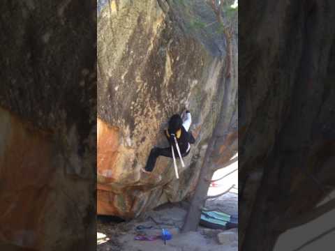 Monkey wedding (8c) pieds nus