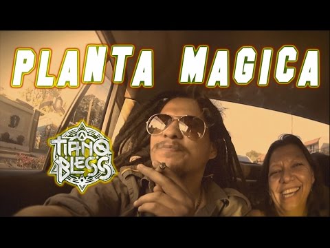 PLANTA MAGICA TIANOBLESS VIDEO OFICIAL 2016