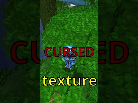 We use the MOST CURSED texture packs EVER 5