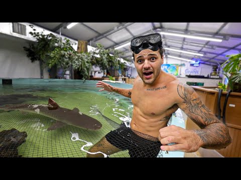 I Had to do THIS in the SHARK POND!!