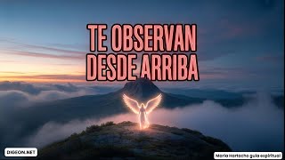 Siempre Lo Hacen...💌MENSAJE DE LOS ÁNGELES PARA TI -DIGEON-Enseñanza VERTI