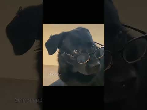 How did bro catch that? 😭 #basketball