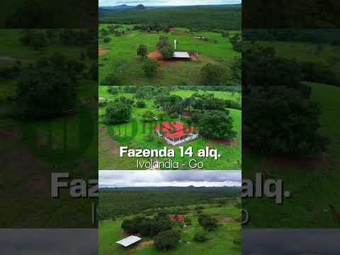 Fazenda de 14 alqueires em Ivolândia-GO: #fazendaavenda #natureza #natureza #corretagem #turismo