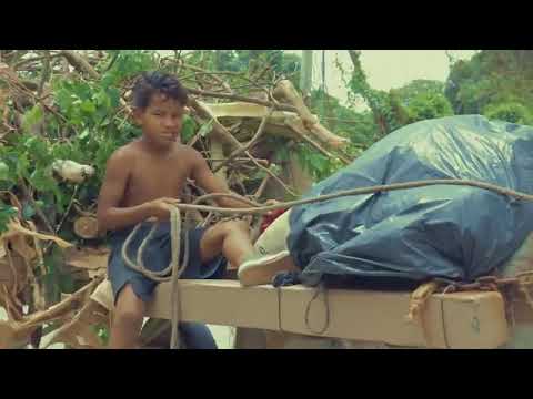 El dollar ft kbp - infama👍