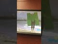 Sesame Street M On The Beach
