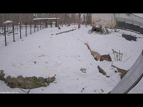 Karukaamera RMK Elistvere loomapargis