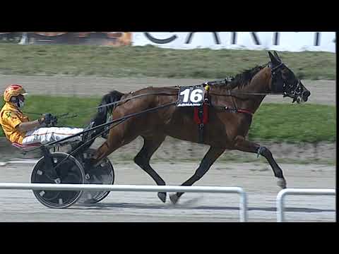 Napoli Trotto 12/05/2023 - 3ª corsa