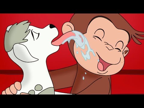 Curious George 🐵Old McGeorgie Had  A Farm 🐵 Kids Cartoon 🐵 Kids Movies | Videos for Kids