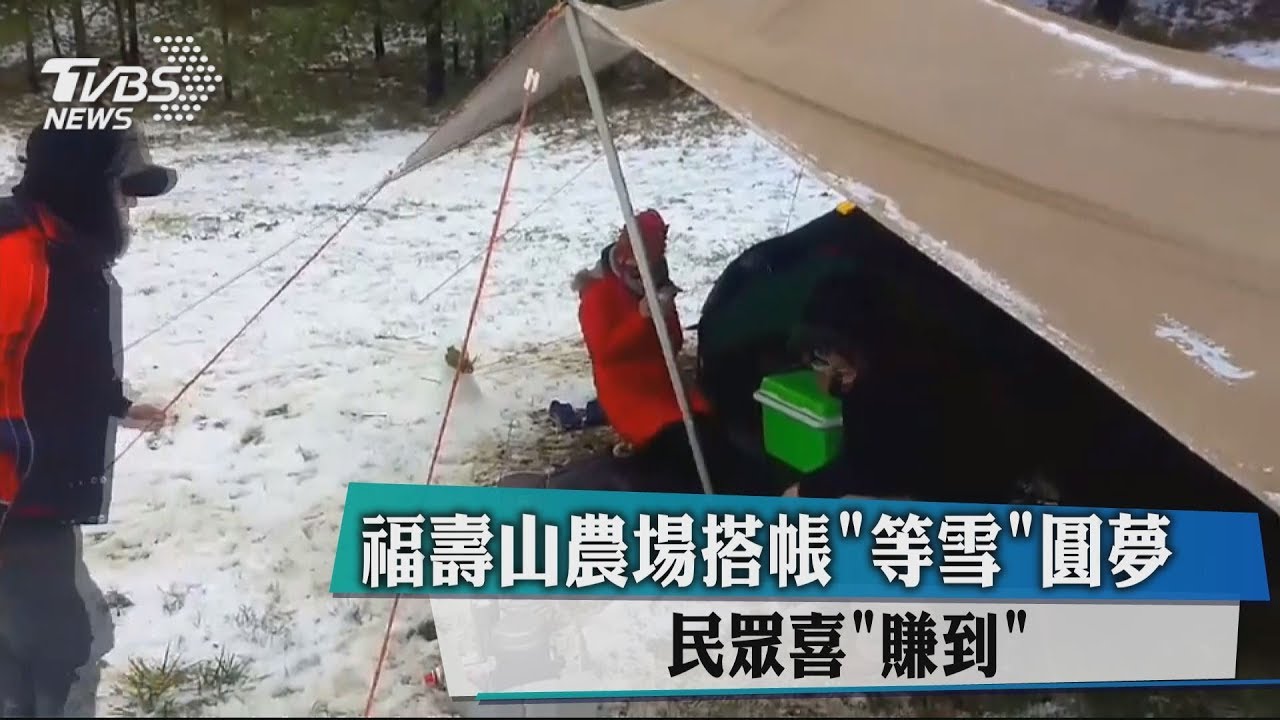 福壽山農場搭帳篷等雪圓夢　民眾喜「賺到」