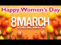 Women S Day Whatsapp Status Happy International Women S Day 2026 Happy Women S Day Status March 8