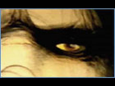 Animal X Natural Mystery Unit - Texas Bigfoot