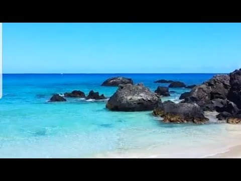 Homeless Soul by Fleurs Douces (45 minutes of relaxation and sea' beauty)