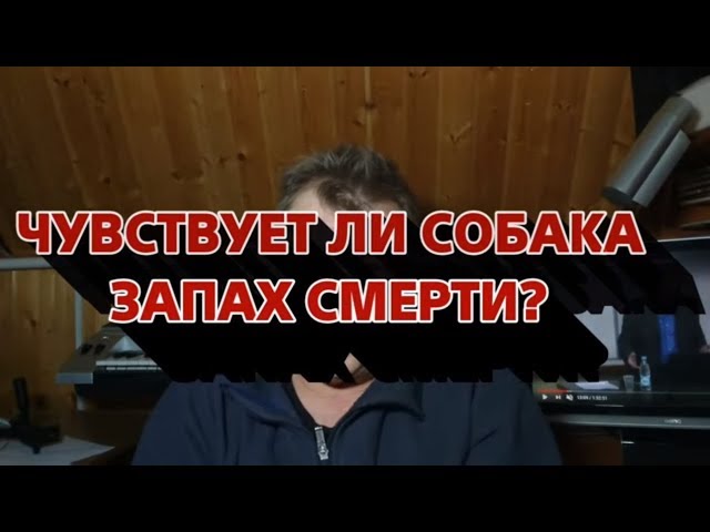 Почему воет акпп