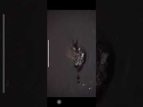 ~子甄彣璟~西子 美國浪刻蜘蛛 逼真感十足 仿真擬餌 魚餌 昆蟲 路亞餌 假餌 誘餌 仿生餌 專制翹嘴