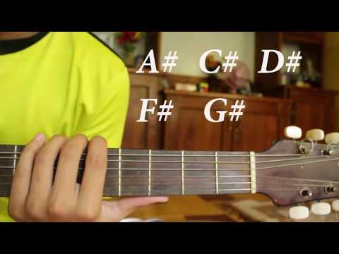 download lagu mp3 mp4 G# Chord, download lagu G# Chord gratis, unduh video klip Download G# Chord Mp3 dan Mp4 Popular Gratis