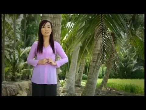 Tím lục bình trôi - Thùy Phương