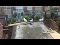 Seagulls Breakfast
