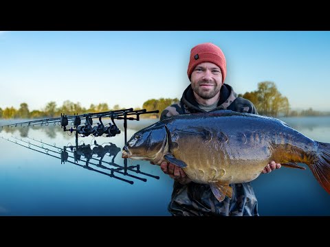 Back at the BAGGERSEE 🤩 | Things are really getting going 🐋