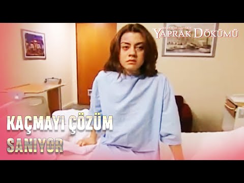 Leyla, Hastaneden Kaçıyor! - Yaprak Dökümü Özel Bölüm