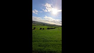 #ExploreMore Wander - across the green fields of #Malta 💚✨