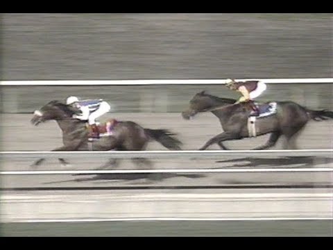1995 Strub Stakes