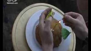 BALCONYTVS ONE YEAR BIRTHDAY (BalconyTV)