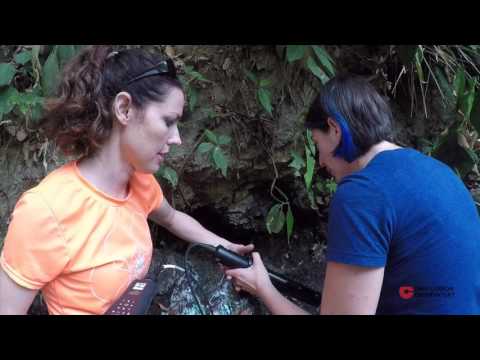 First days in the field