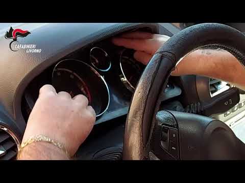 Livorno, operazione “Mandra”: traffico di droga tra Toscana e Sardegna, 30kg di marijuana ritirati